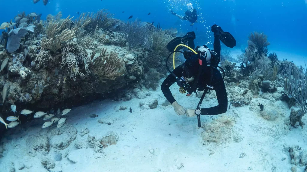 Diver with fish and coral - Training differently means you start out this way