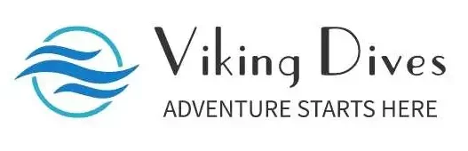 Viking Dives